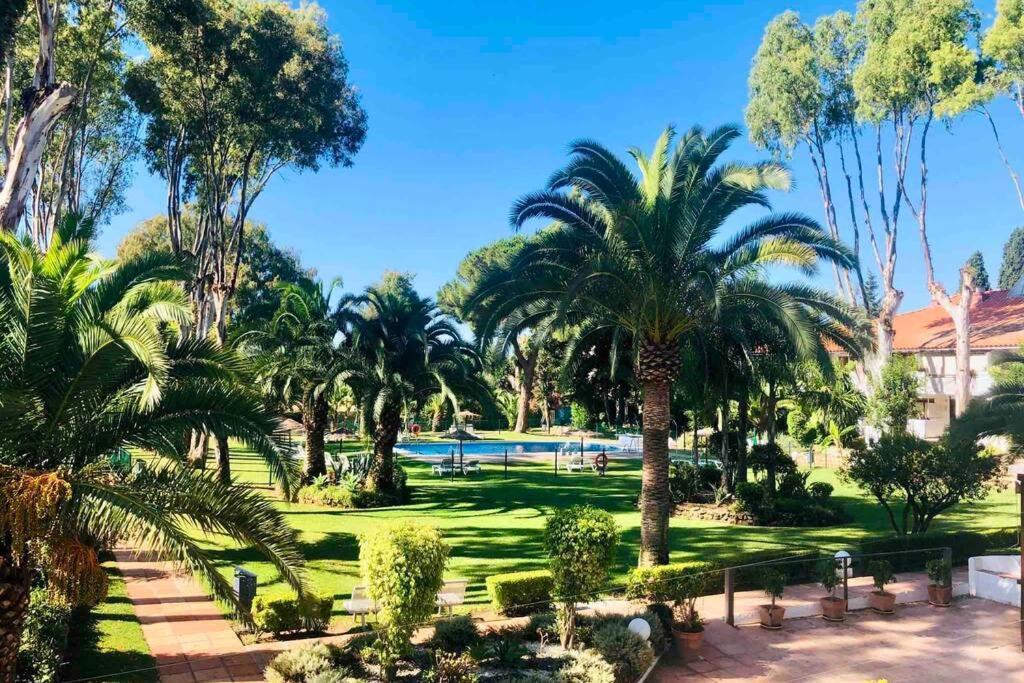 Puerto Banus Richi Suite Μαρμπέλλα Εξωτερικό φωτογραφία